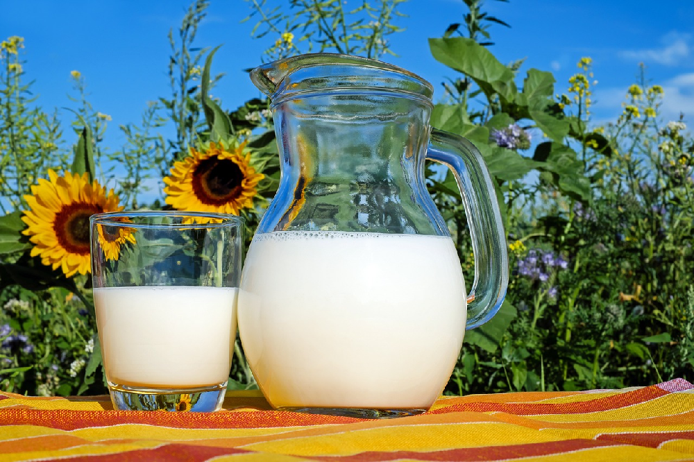 Czy wiesz dlaczego warto sięgać po mleko pasteryzowane? Jak przygotować je w sposób idealny?